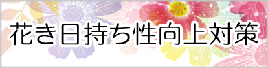 花き日持ち性向上対策